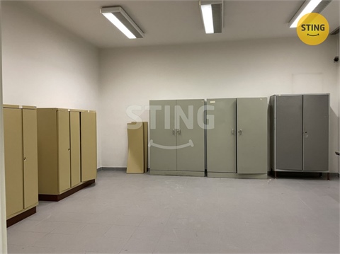 Pronájem skladu / haly, 42 m² - 0