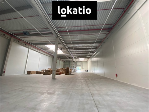 Pronájem skladu / haly, 1 589 m² - 0