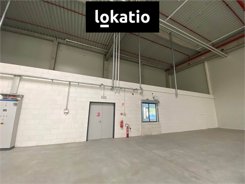 Pronájem skladu / haly, 1 589 m² 2