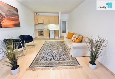 Pronájem bytu 1kk, 50 m² 4