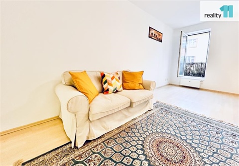 Pronájem bytu 1kk, 50 m² - 8