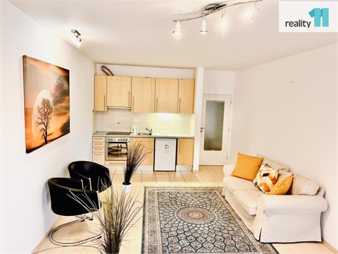 Pronájem bytu 1kk, 50 m² 10