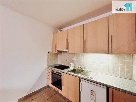 Pronájem bytu 1kk, 50 m² - 10