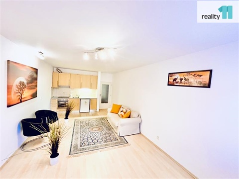 Pronájem bytu 1kk, 50 m² 0