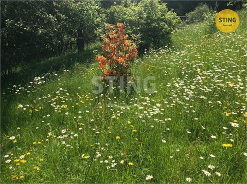 Prodej rodinného domu, 170 m² - 22