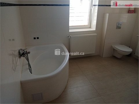 Pronájem bytu 1+1, 45 m² - 10