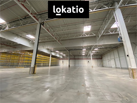 Pronájem skladu / haly, 16 895 m² - 0