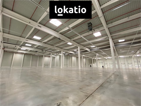 Pronájem skladu / haly, 3 700 m² 2