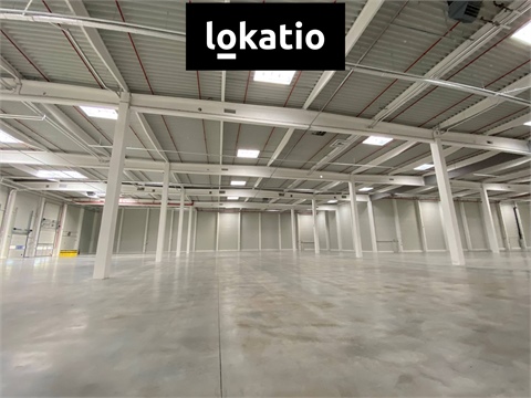 Pronájem skladu / haly, 3 700 m² - 4