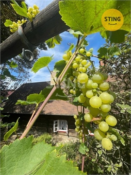 Prodej objektu, 170 m² 20