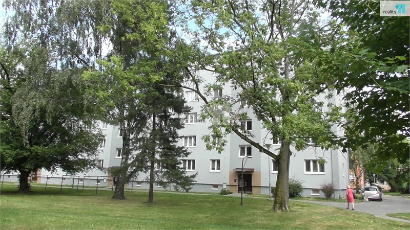 Obrázek č. 1