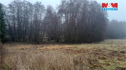 Prodej louky, 19 732 m² - 4