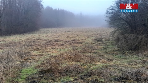 Prodej louky, 19 732 m² - 2