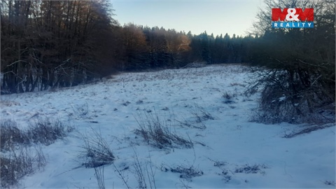 Prodej louky, 19 732 m² - 18