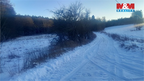 Prodej louky, 19 732 m² - 20