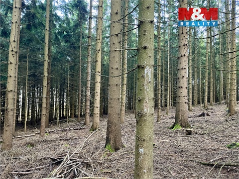 Prodej lesu, 38 344 m² 8