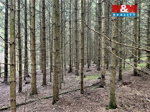 Prodej lesu, 38 344 m² 12