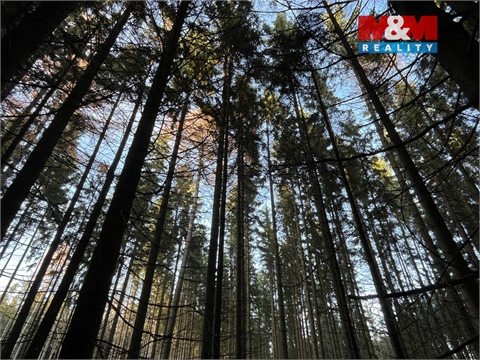 Prodej lesu, 38 344 m² - 10