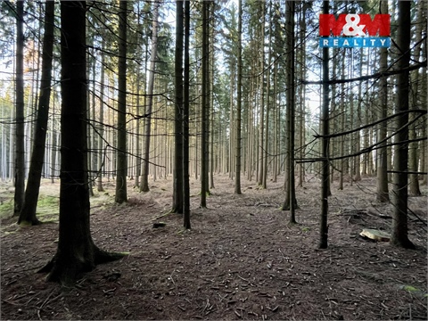 Prodej lesu, 38 344 m² 14