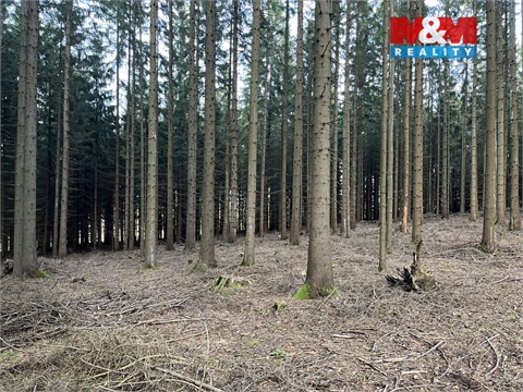 Prodej lesu, 38 344 m² 4