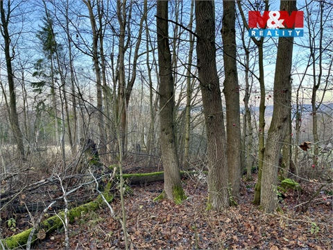 Prodej lesu, 38 344 m² 10