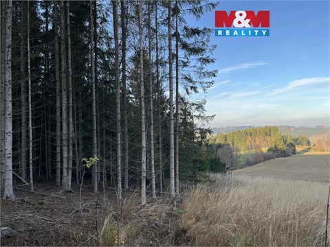 Prodej lesu, 38 344 m² 2