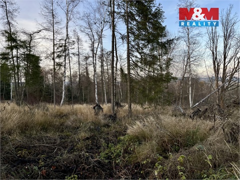 Prodej lesu, 38 344 m² 6