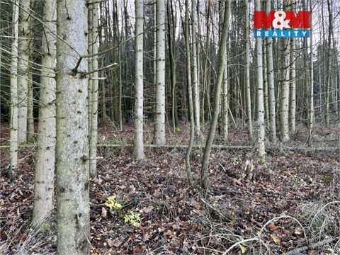 Prodej lesu, 38 344 m² - 12