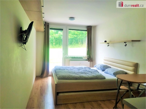 Pronájem bytu 1kk, 23 m² - 8