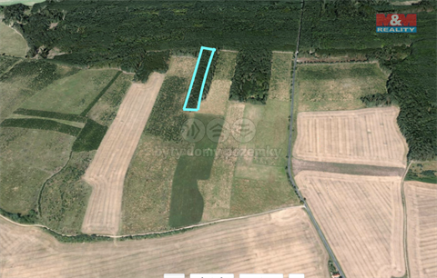 Prodej lesu, 6 619 m² 6