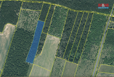 Prodej lesu, 6 619 m² - 6