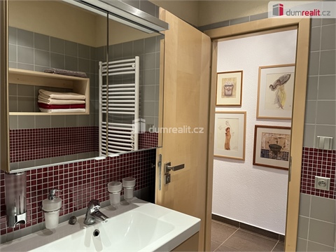 Pronájem bytu 2+1, 53 m² 10