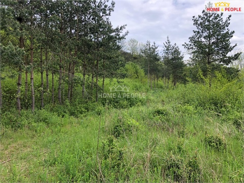 Prodej výrobního objektu, 23 788 m² - 22