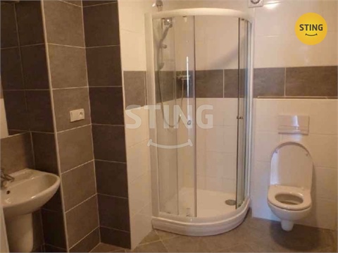 Pronájem obchodních prostor, 115 m² 10