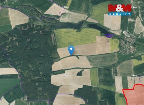 Prodej louky, 6 482 m² - 2