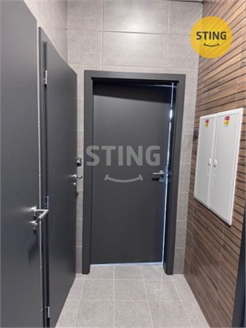 Pronájem obchodních prostor, 401 m² 10