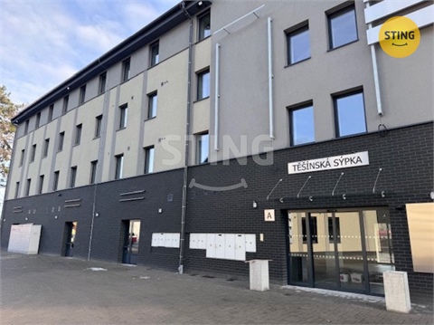 Pronájem obchodních prostor, 401 m² - 4