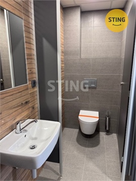 Pronájem obchodních prostor, 401 m² 14