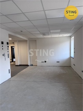 Pronájem obchodních prostor, 401 m² - 8