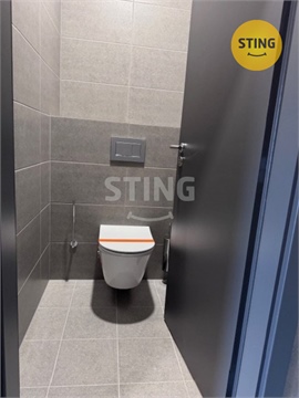 Pronájem obchodních prostor, 401 m² 12