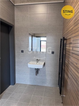 Pronájem obchodních prostor, 401 m² - 10