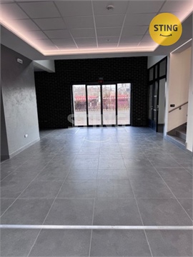 Pronájem obchodních prostor, 401 m² 8