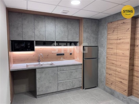 Pronájem obchodních prostor, 401 m² - 14