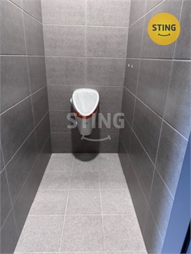 Pronájem obchodních prostor, 401 m² - 12