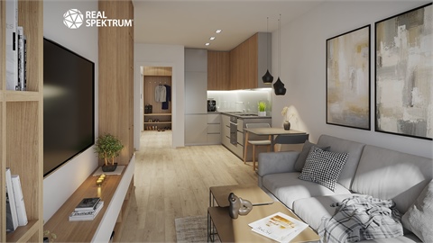 Prodej bytu 2kk, 48 m² 24