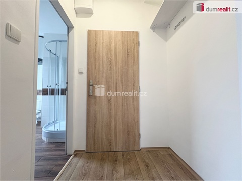 Pronájem bytu 1+1, 36 m² - 22