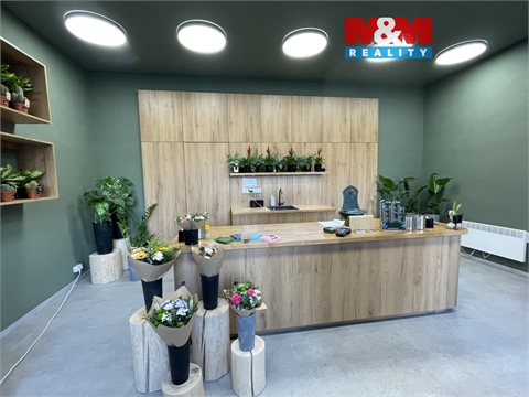 Prodej rodinného domu, 173 m² - 0