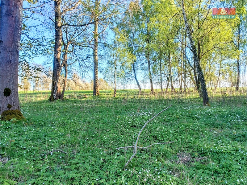 Obrázek č. 1