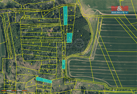 Prodej lesu, 19 561 m² - 2