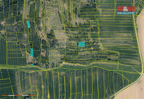 Prodej lesu, 19 561 m² - 4